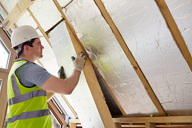 Best DIY Insulation Kits and Guidance in Glenmora, LA