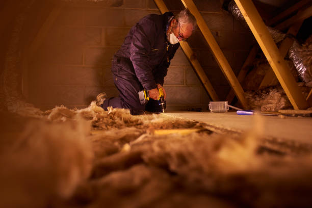 Best Specialized Insulation Services in Glenmora, LA